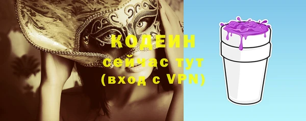 дурь Осташков