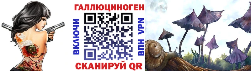 хочу   Похвистнево  Галлюциногенные грибы Magic Shrooms 