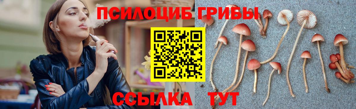 Псилоцибиновые грибы Magic Shrooms Похвистнево