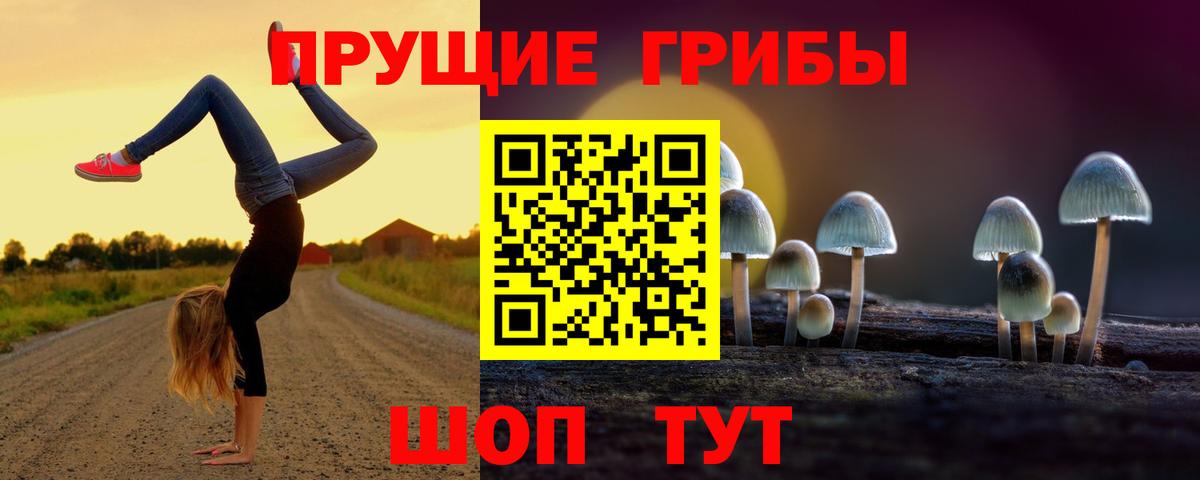 Похвистнево  Галлюциногенные грибы Cubensis  Вход с VPN 